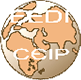 EEDI